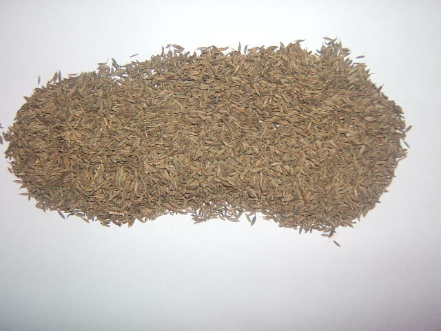 Cumin seeds