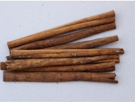 Cassia-Chinese cinnamon